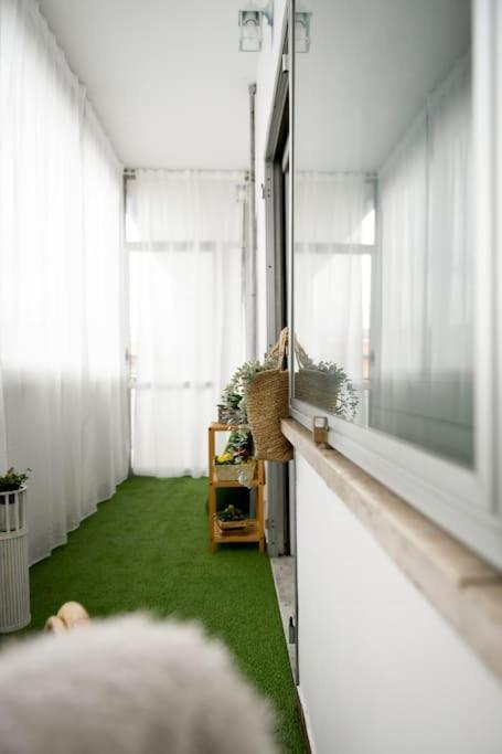 Peaceful Hideaway Apartment โรม ภายนอก รูปภาพ